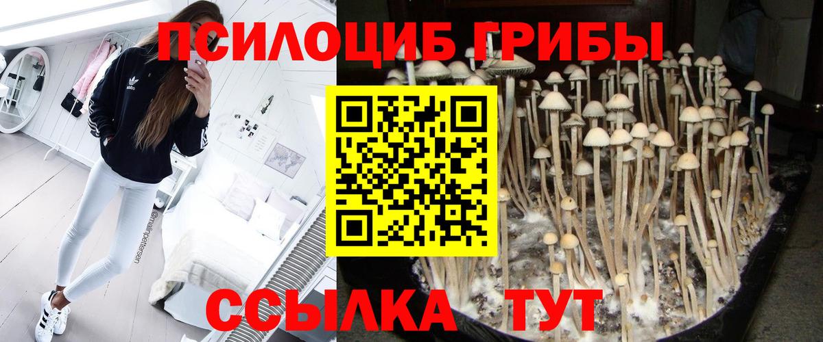 Галлюциногенные грибы GOLDEN TEACHER  Вход с VPN  закладка  Ирбит 