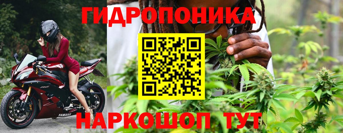 Бошки Шишки AK-47 Ирбит